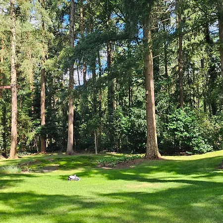 Schwedenhaus In Sandhatten Dom wakacyjny