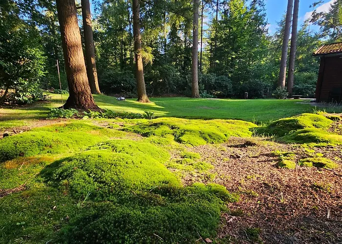 Schwedenhaus In Sandhatten *